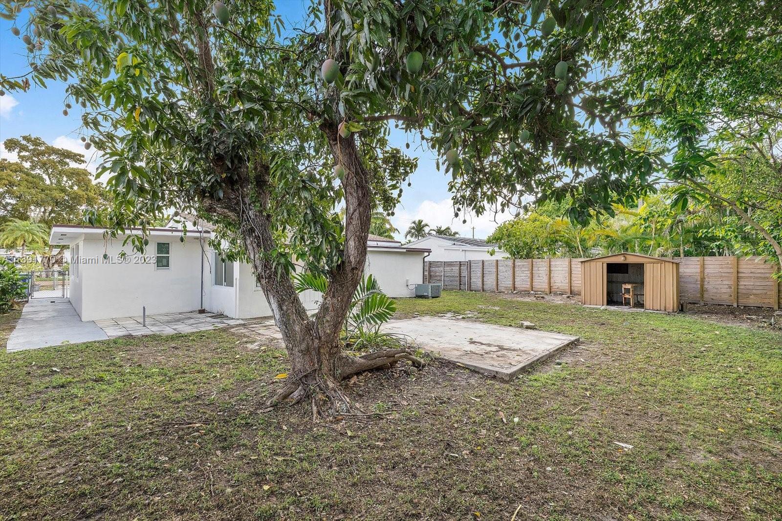 6110 Southwest 20th Street Miami, FL 33155 - Photo 26 of 29 a view of a backyard with a tree