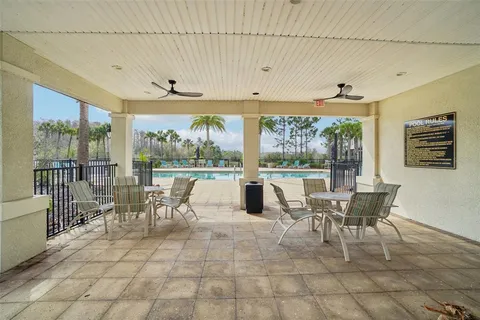 a park with palm trees