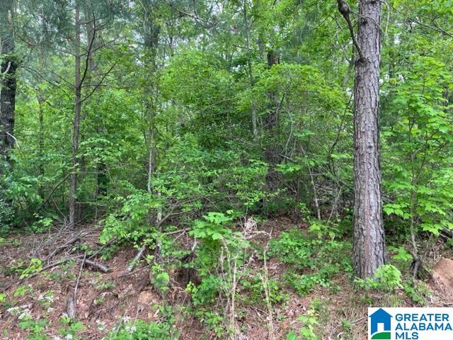 0 Ridgeview Court, Unit 39 Wedowee, AL 36278 - Photo 2 of 5