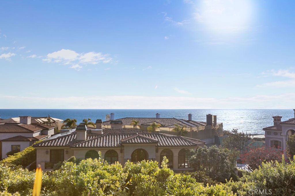 51 Ritz Cove Drive Dana Point, CA 92629 - Photo 9 of 9