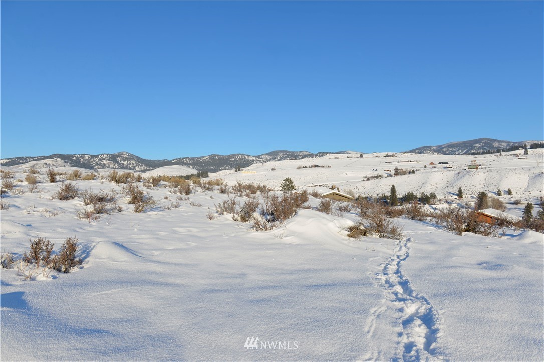 12 Ridge Drive Winthrop, WA 98862 - Photo 2 of 9 Gallery Image 2