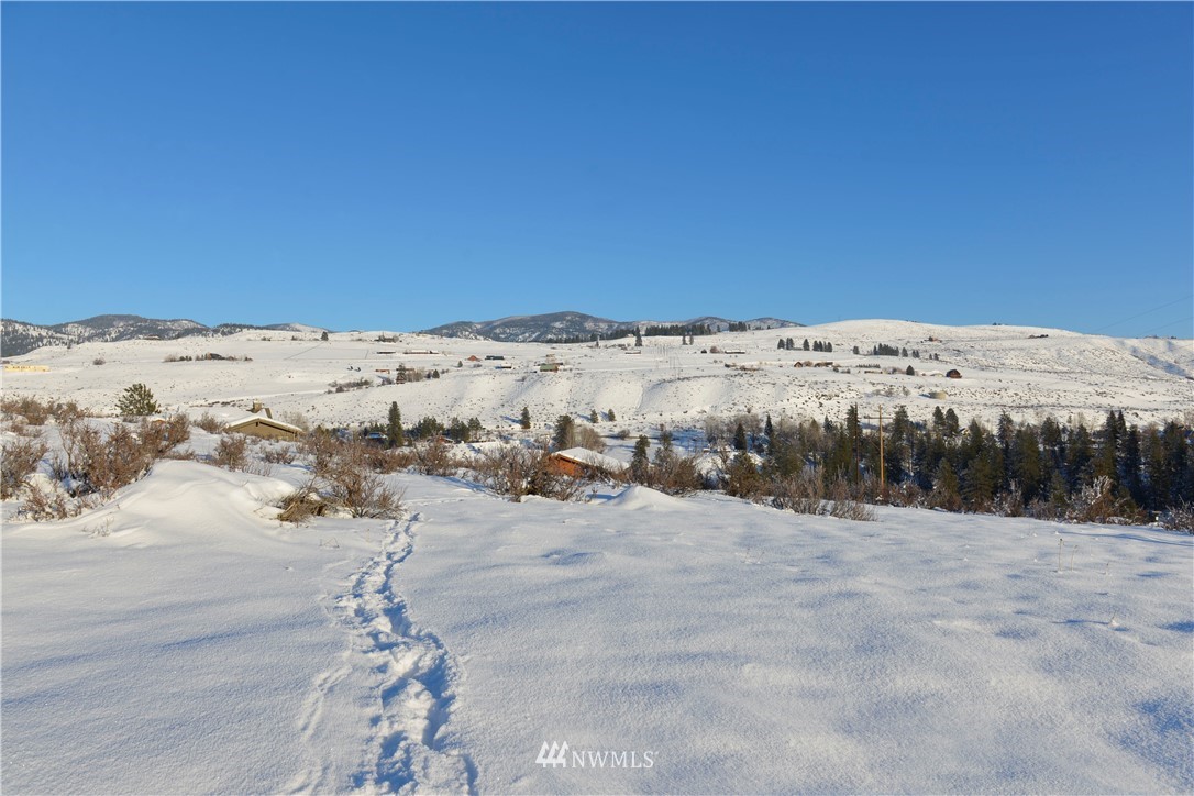 12 Ridge Drive Winthrop, WA 98862 - Photo 3 of 9 Gallery Image 3