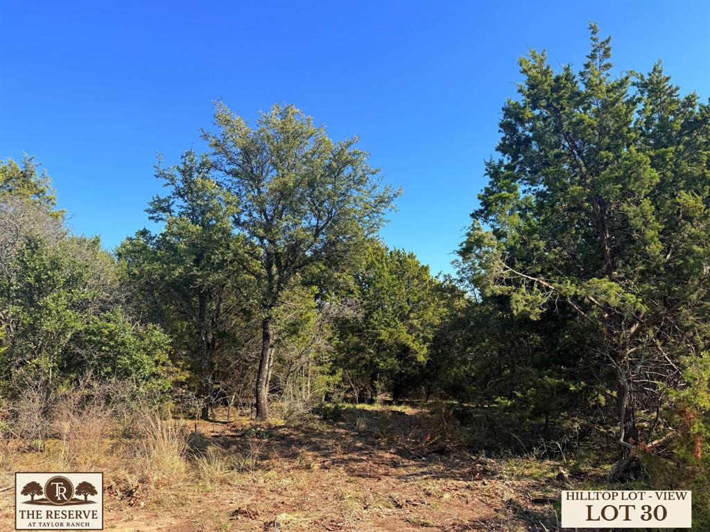 Lot 30 Colt Road Springtown, TX 76082 - Photo 11 of 18 a view of backyard with green space
