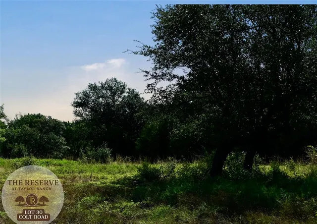 a view of a bunch of trees and bushes