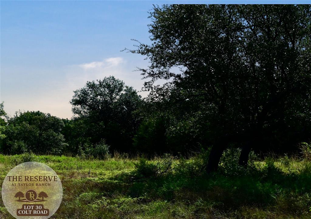 Lot 30 Colt Road Springtown, TX 76082 - Photo 12 of 18 a view of a bunch of trees and bushes