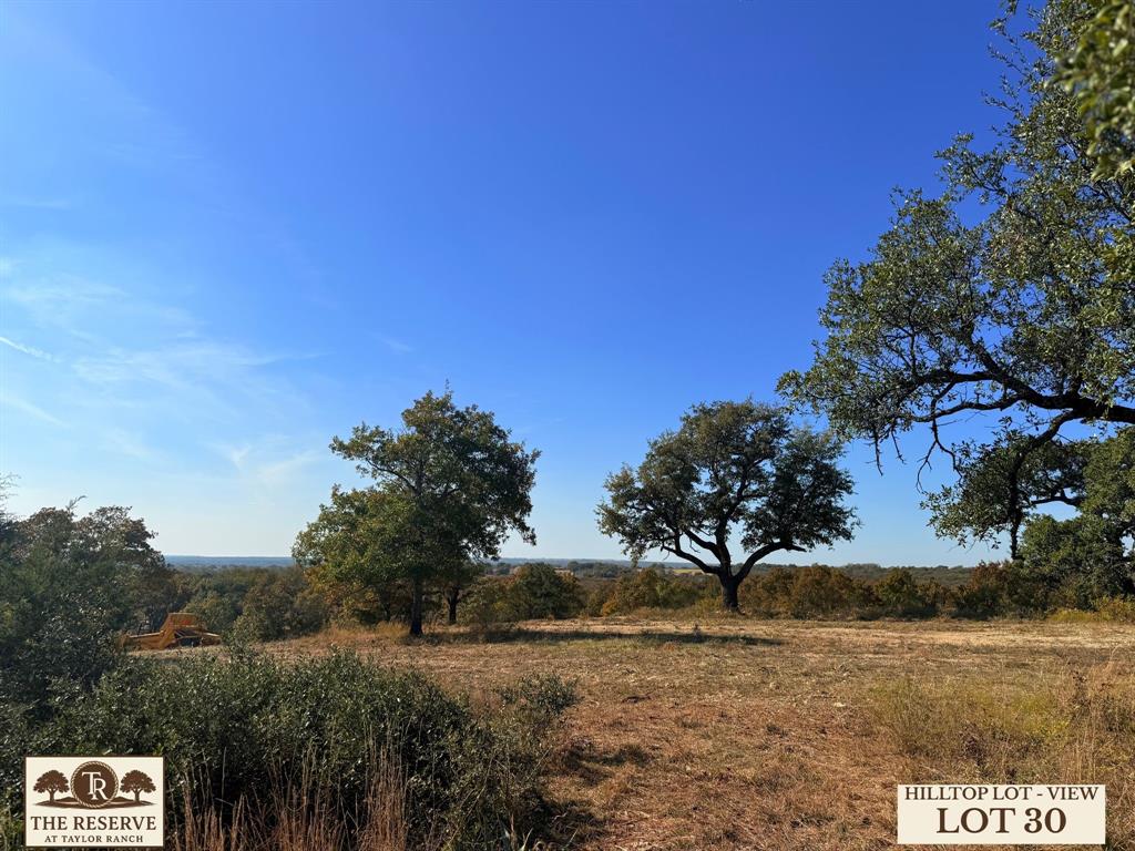 Lot 30 Colt Road Springtown, TX 76082 - Photo 13 of 18 a view of a yard with plants and trees