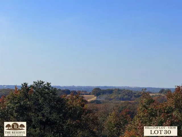 a view of a bunch of trees in a field