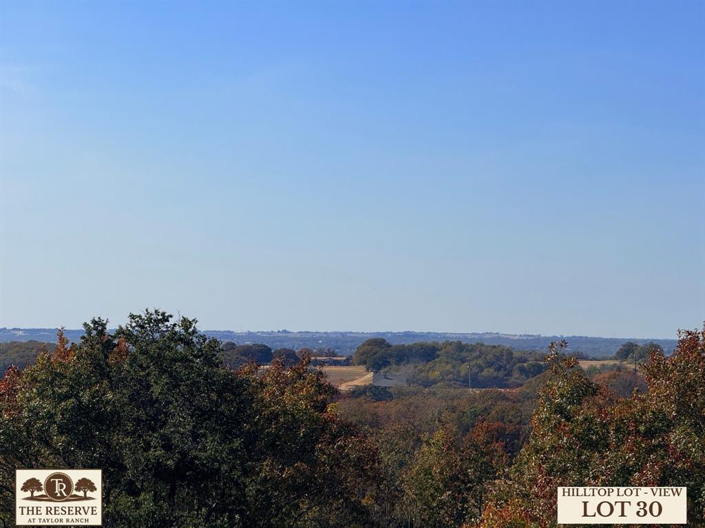 Lot 30 Colt Road Springtown, TX 76082 - Photo 2 of 18 a view of a bunch of trees in a field