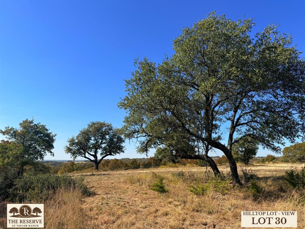 Lot 30 Colt Road Springtown, TX 76082 - Photo 4 of 18 a view of a yard with trees in the background