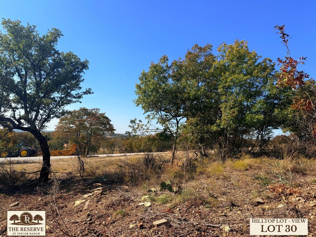 Lot 30 Colt Road Springtown, TX 76082 - Photo 5 of 18 a backyard of a house with lots of green space