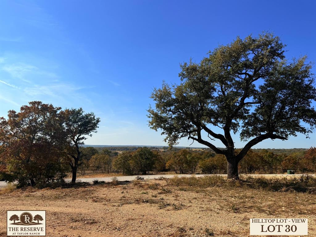 Lot 30 Colt Road Springtown, TX 76082 - Photo 7 of 18 a view of a yard with a tree