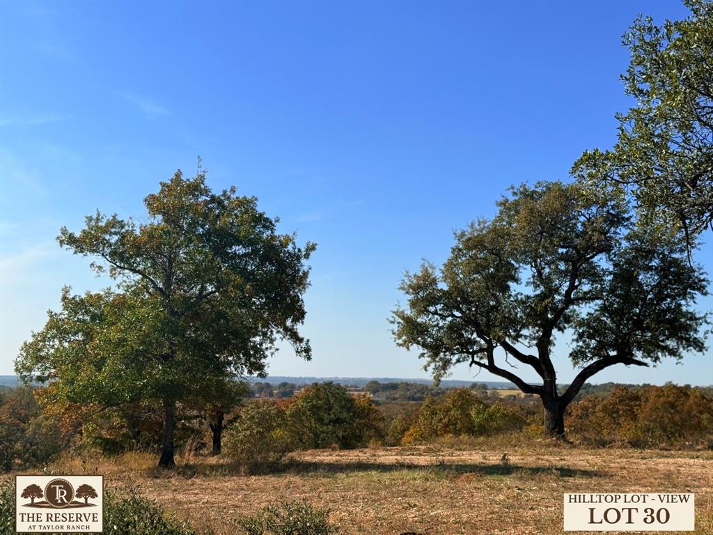 Lot 30 Colt Road Springtown, TX 76082 - Photo 10 of 18 a view of ocean with a tree