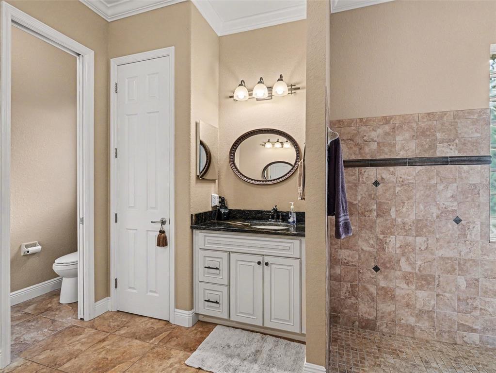 339 Corbett Road Lithia, FL 33547 - Photo 23 of 38 a bathroom with a granite countertop sink a toilet and a shower