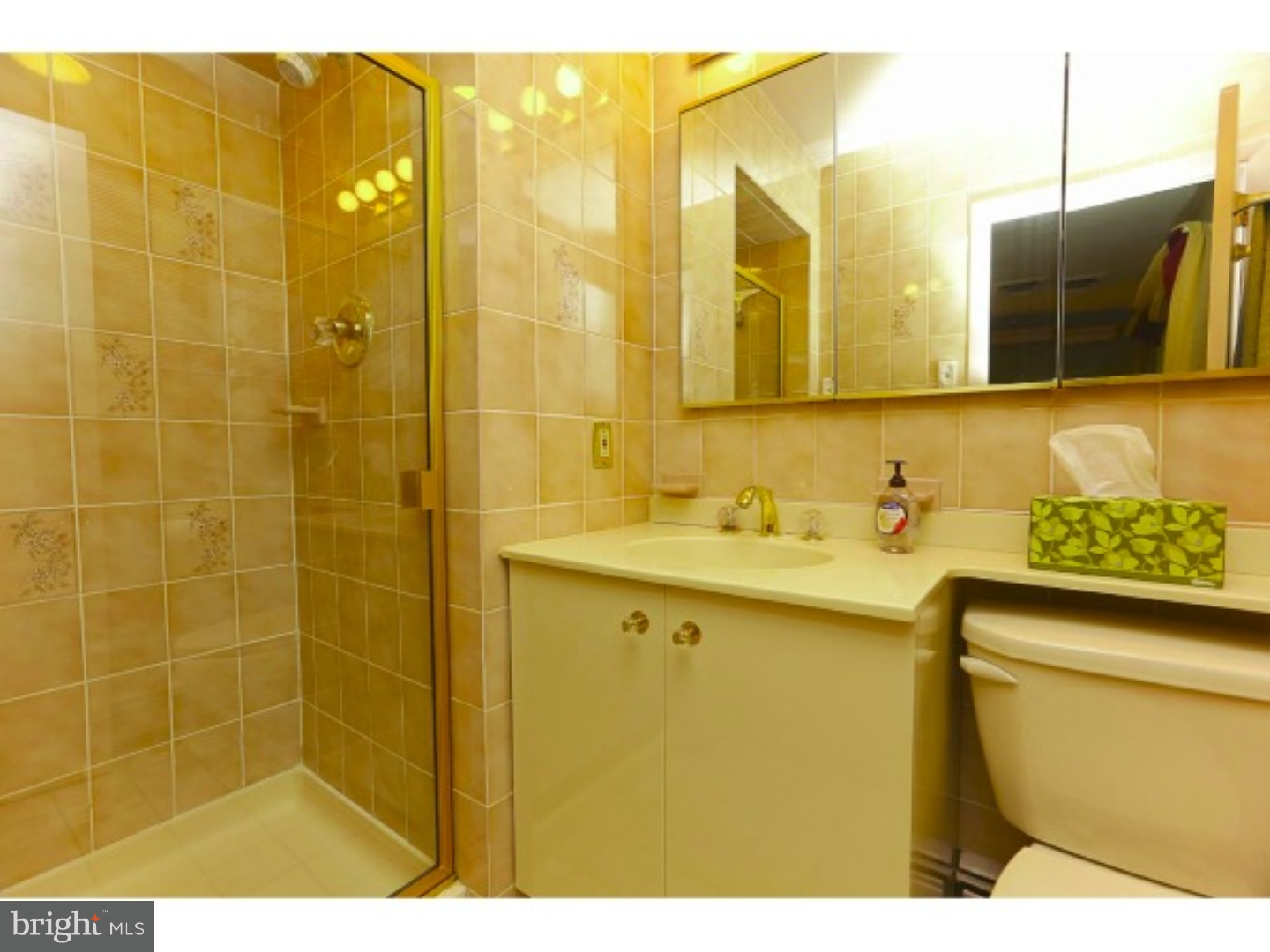 1093 Kingsley Road Jenkintown, PA 19046 - Photo 19 of 25 Master Bathroom