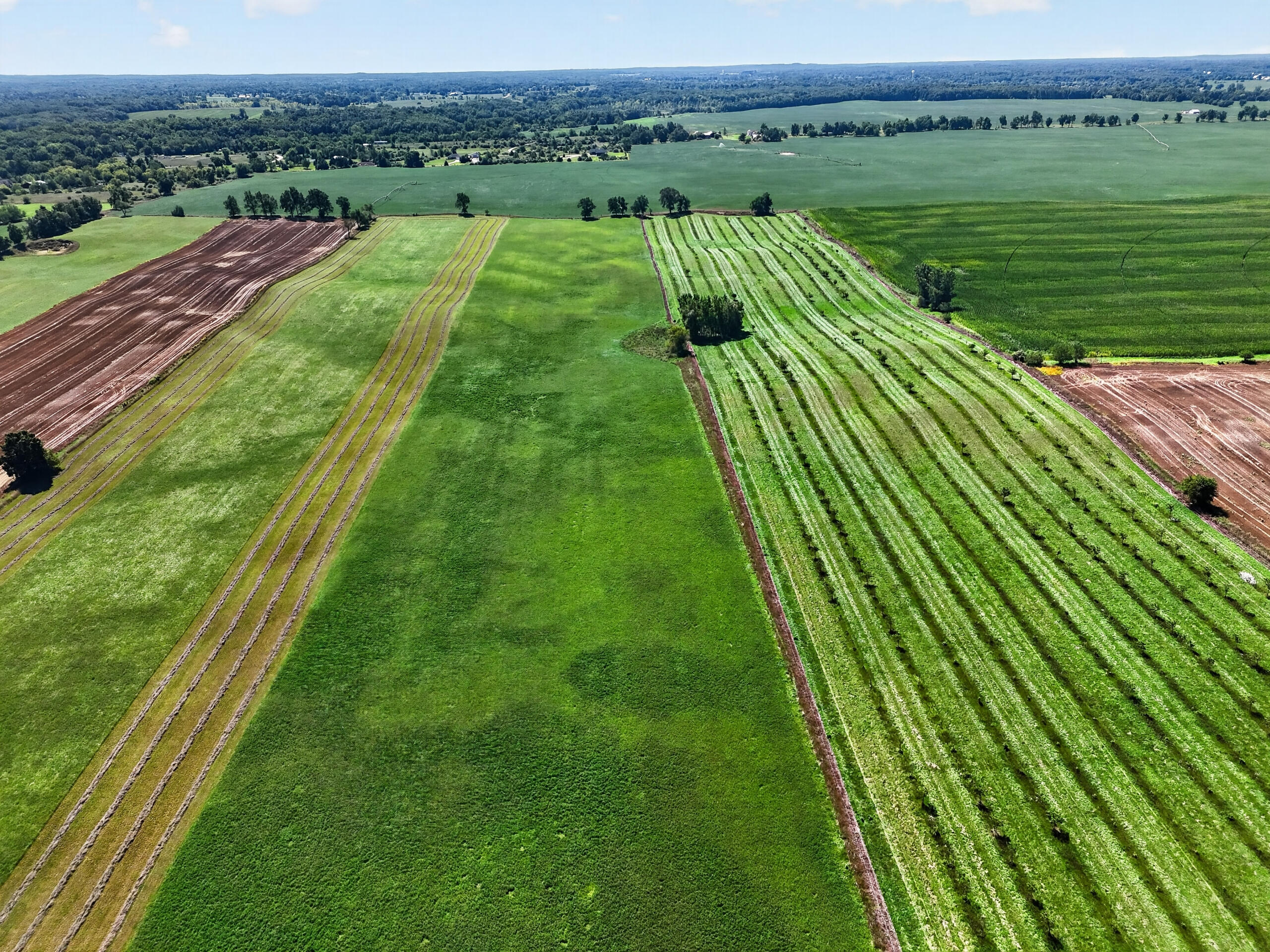 10031 Hastings Road Jackson, MI 49201 - Photo 40 of 59 DJI_20260817123808_0018_D