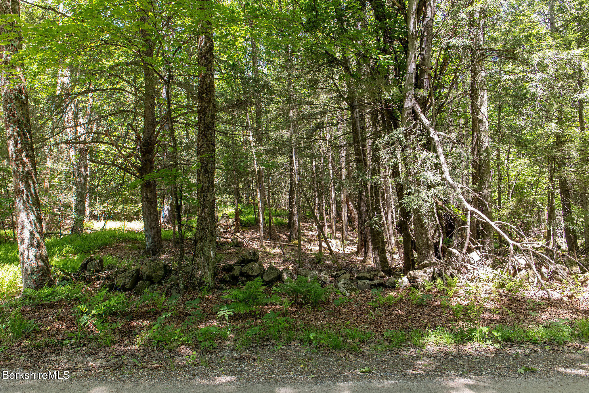0 Indian Oven Road Worthington, MA 01098 - Photo 2 of 6 0004