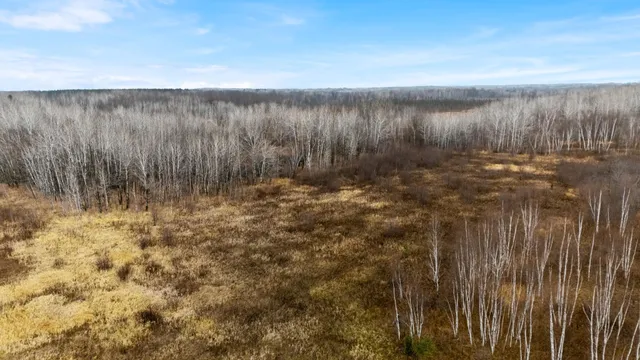 $179,000 | Tbd Olson Road, Hinckley, MN 55037