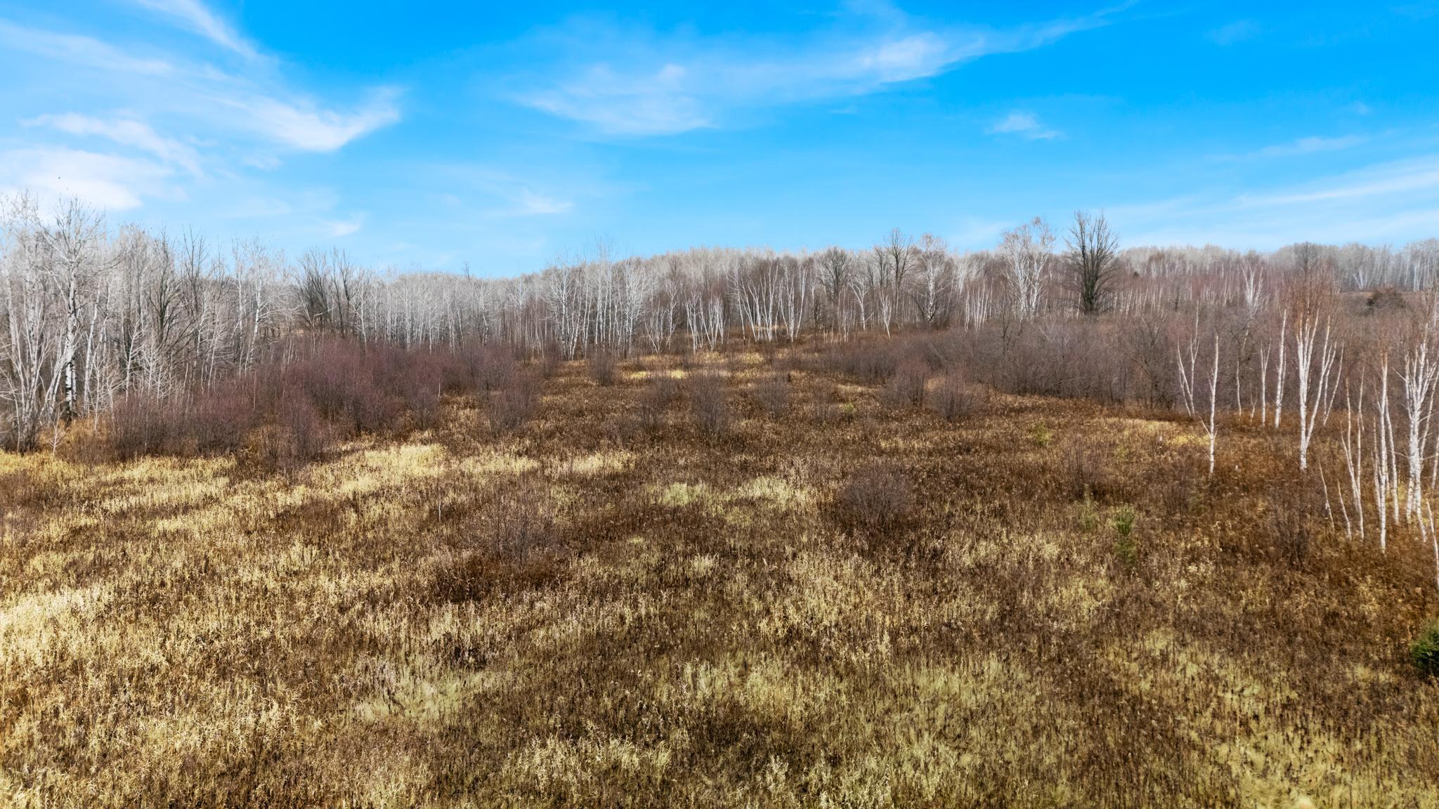 Tbd Olson Road Hinckley, MN 55037 - Photo 20 of 21