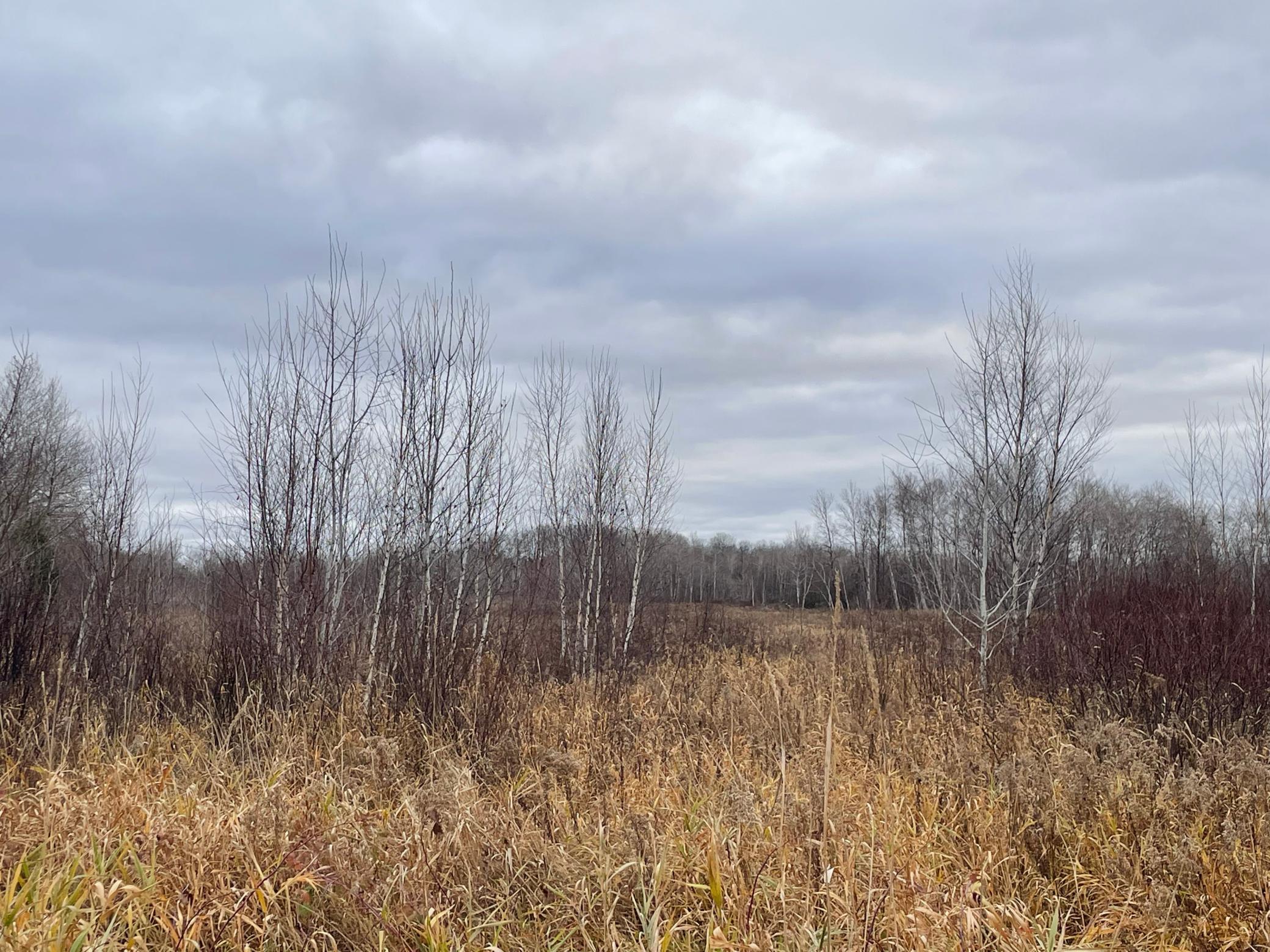 Tbd Olson Road Hinckley, MN 55037 - Photo 2 of 21