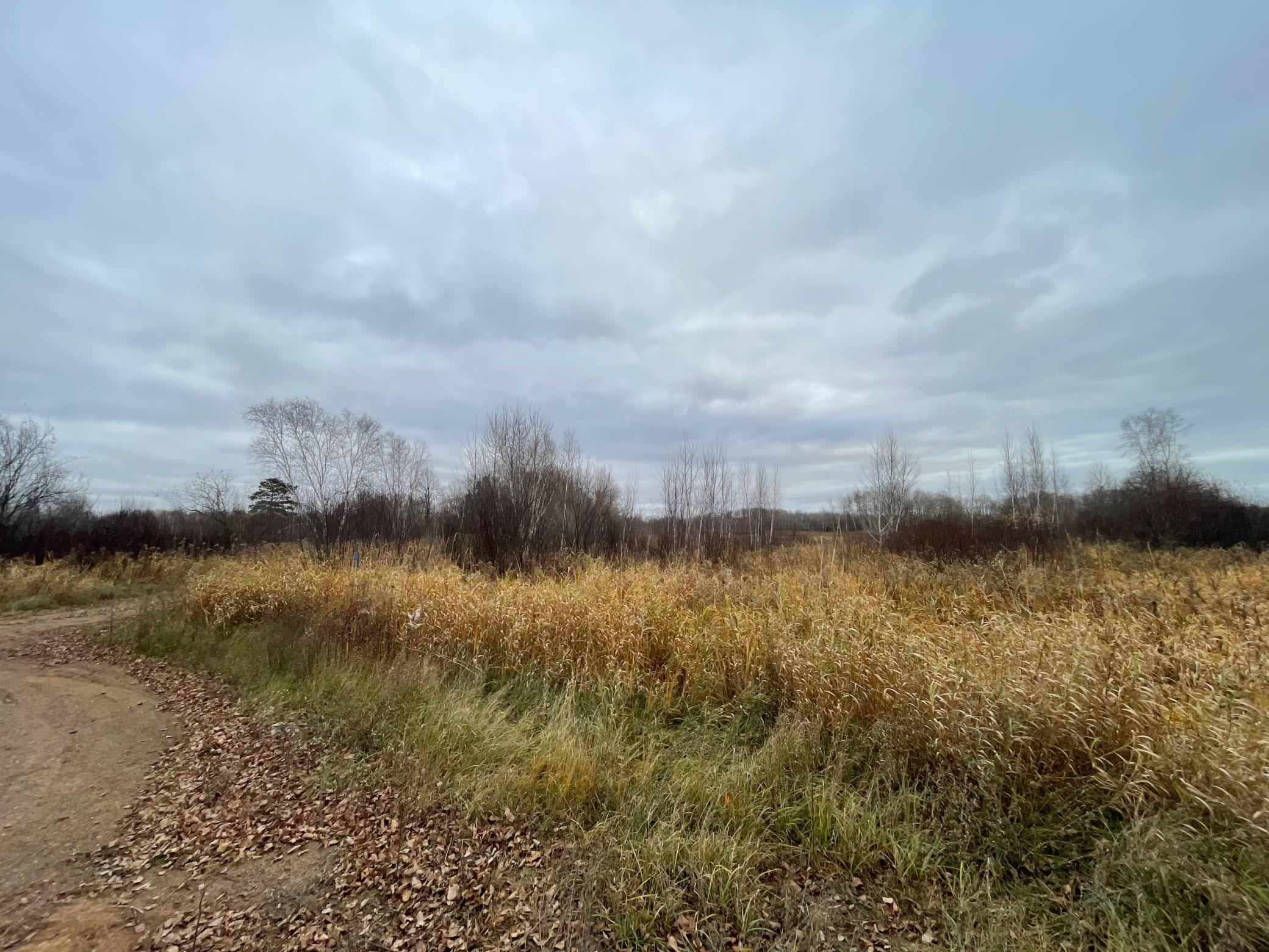 Tbd Olson Road Hinckley, MN 55037 - Photo 21 of 21