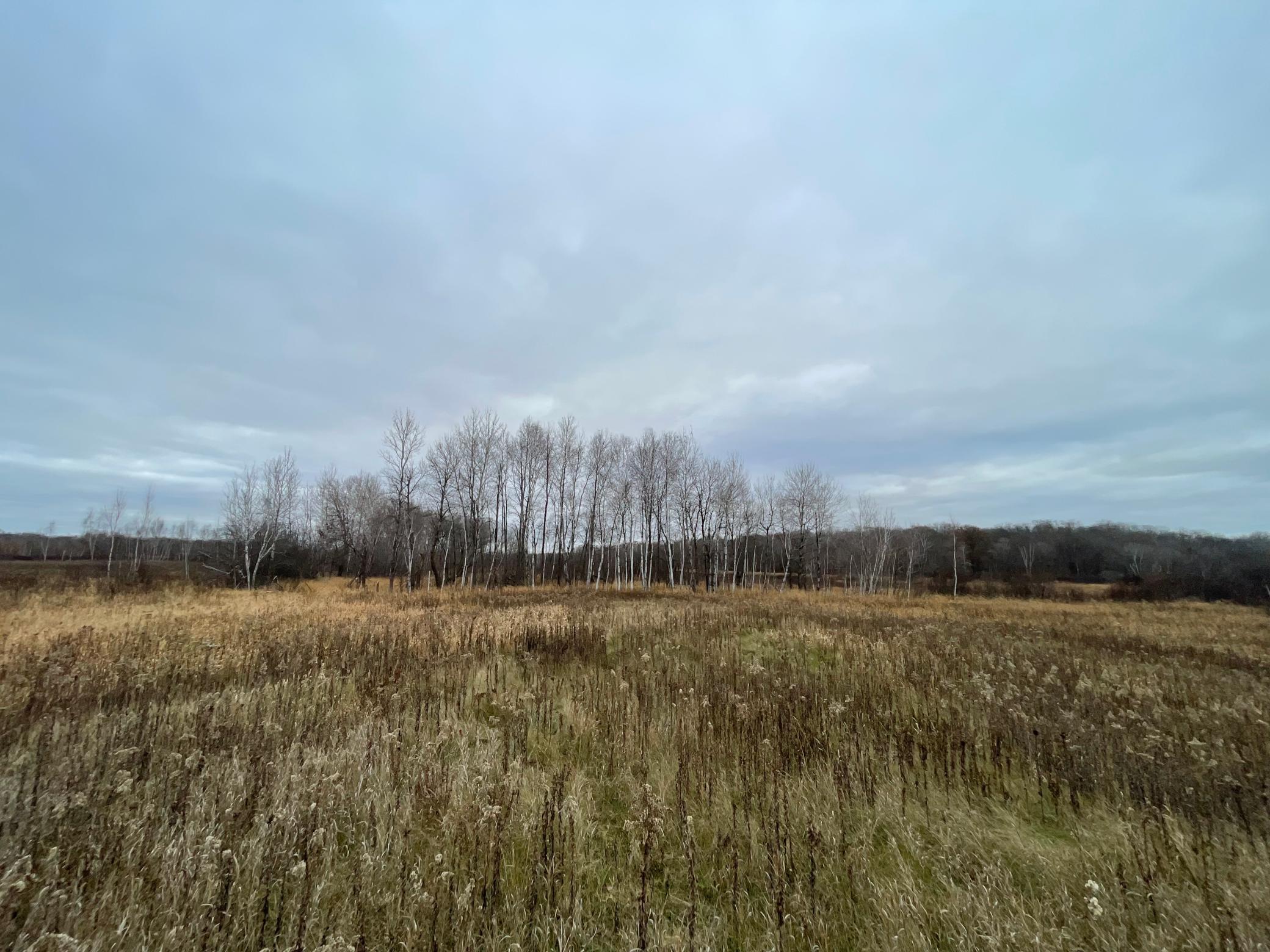 Tbd Olson Road Hinckley, MN 55037 - Photo 4 of 21