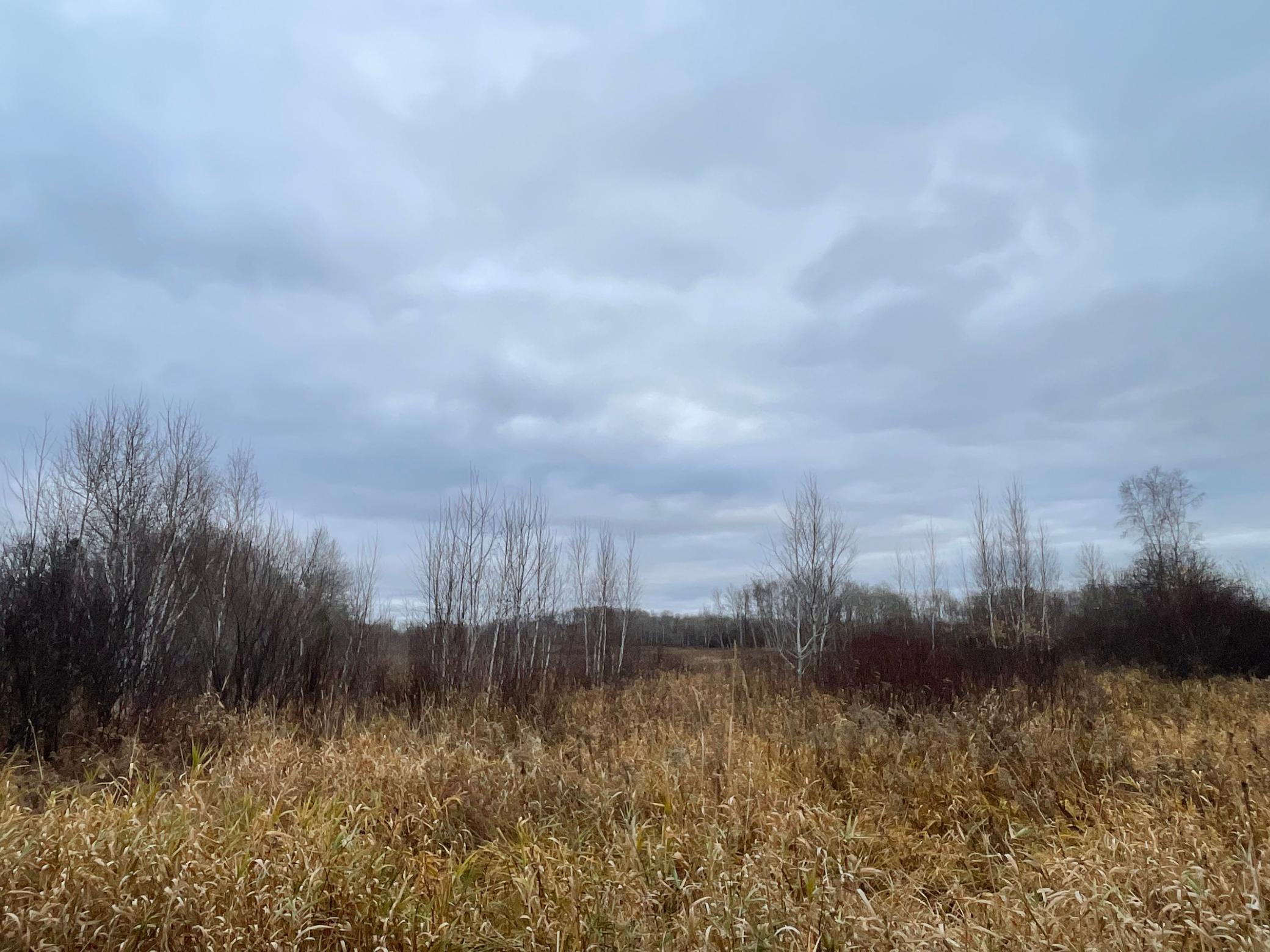 Tbd Olson Road Hinckley, MN 55037 - Photo 5 of 21