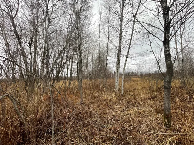 $179,000 | Tbd Olson Road, Hinckley, MN 55037