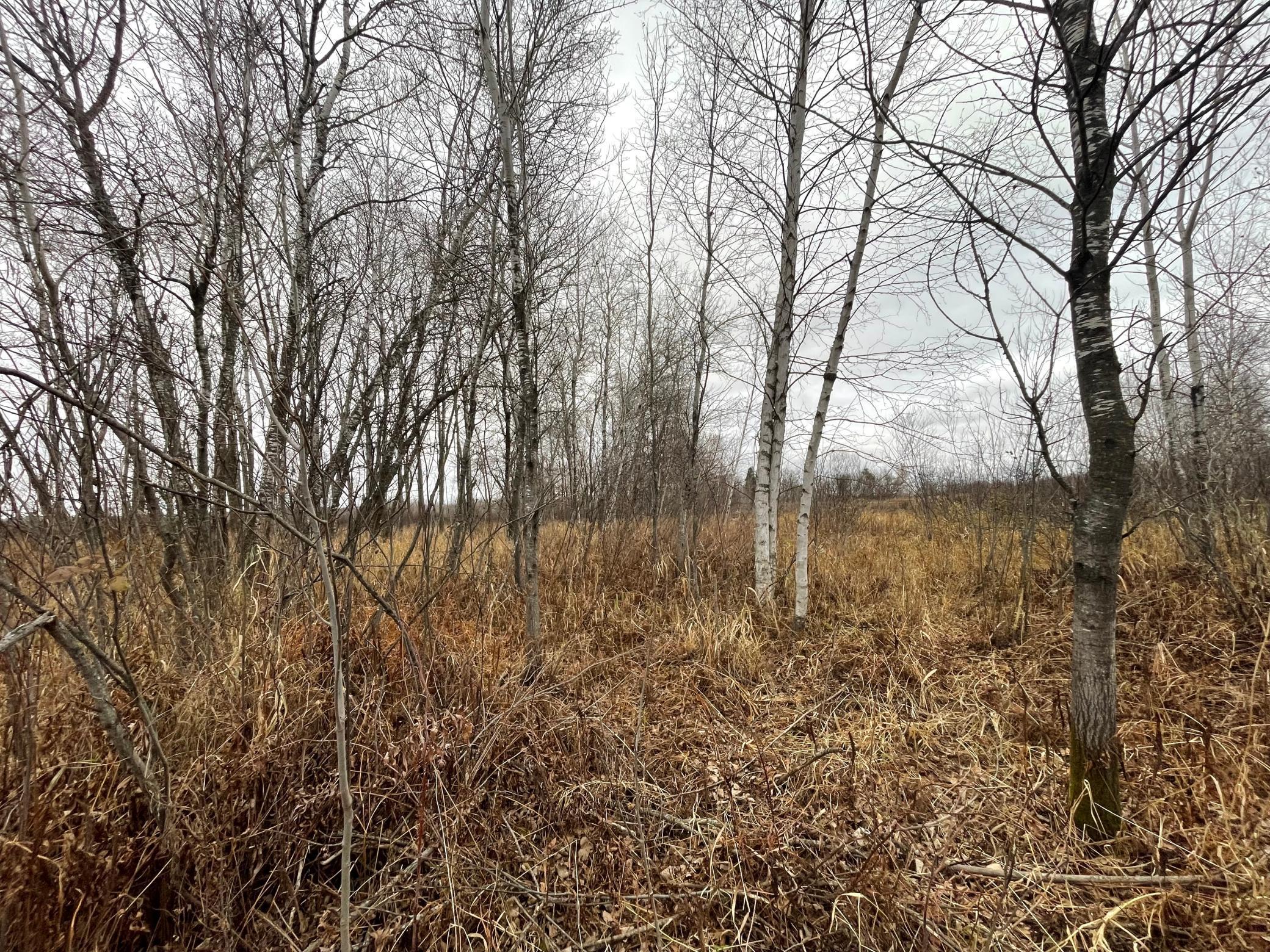 Tbd Olson Road Hinckley, MN 55037 - Photo 6 of 21