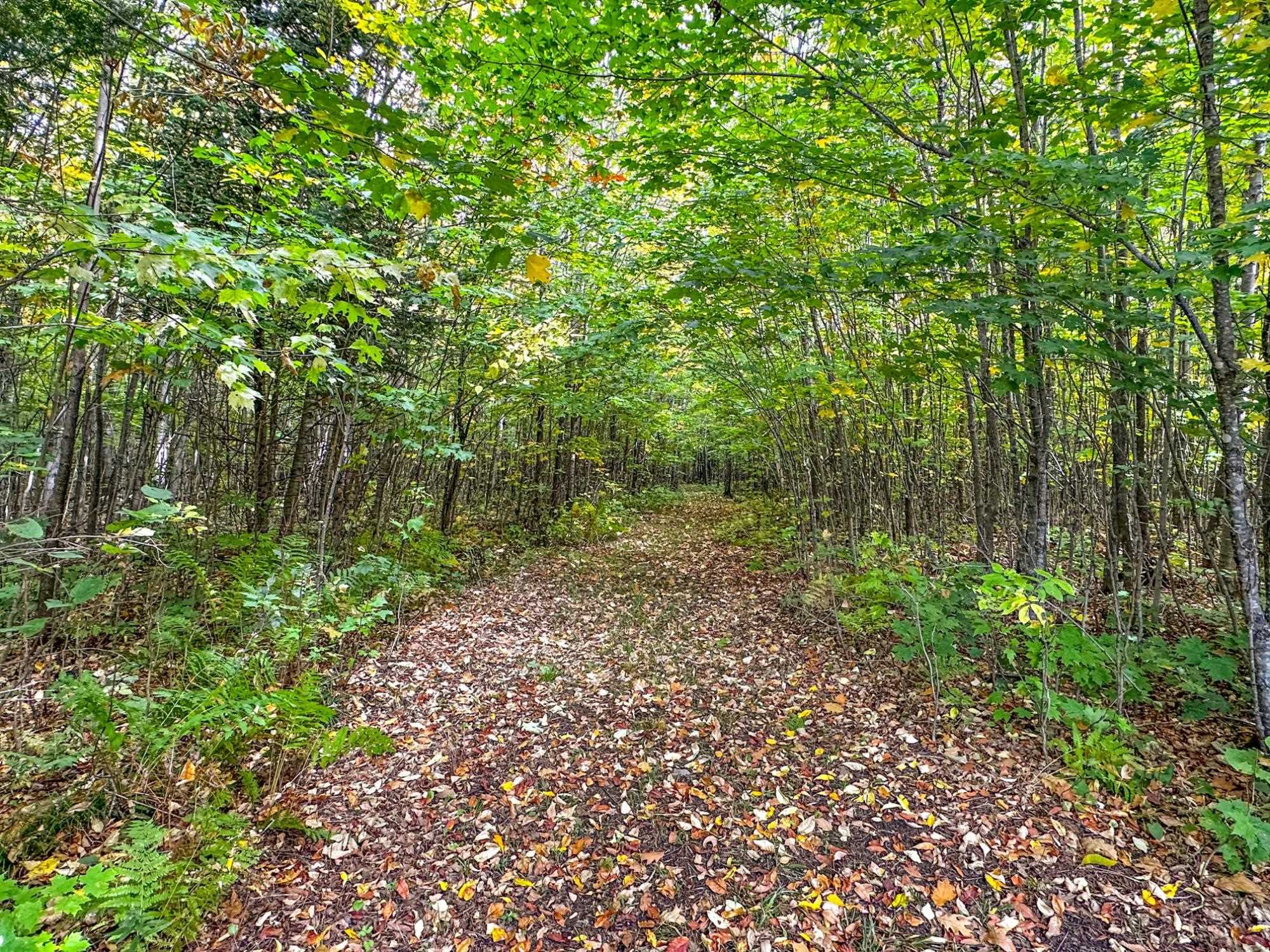 72281 Hennes Road Glidden, WI 54527 - Photo 46 of 50
