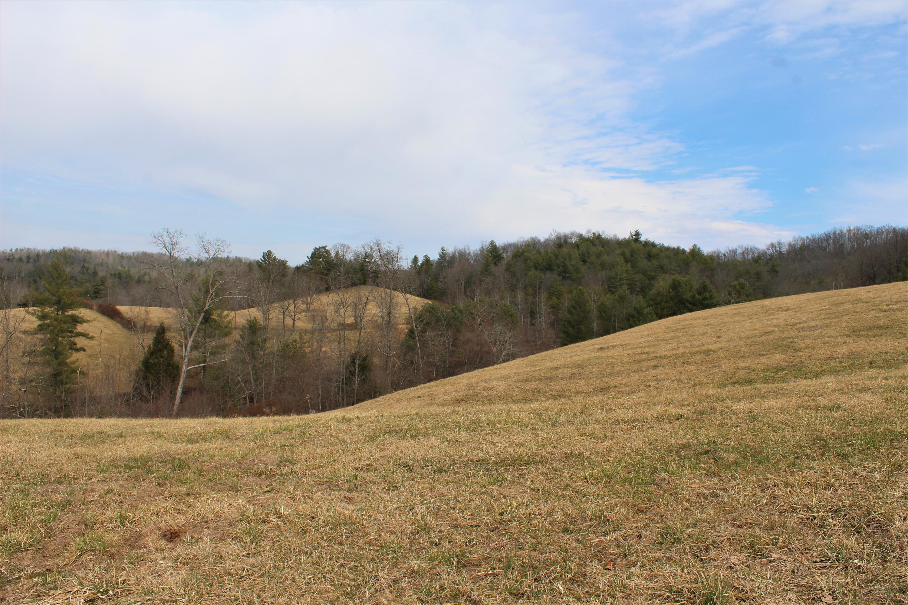 1245 North Shady Lane Road Campton, KY 41301 - Photo 4 of 96 004 the rolling meadows in the eastern u