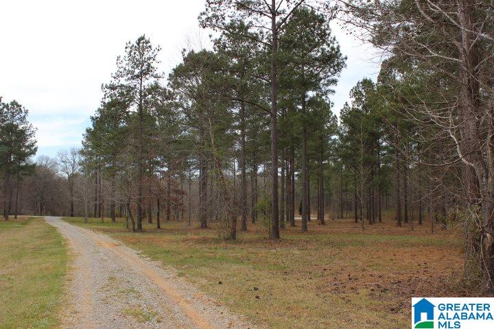 Liberty Shores Boulevard Vincent, AL 35178 - Photo 8 of 11