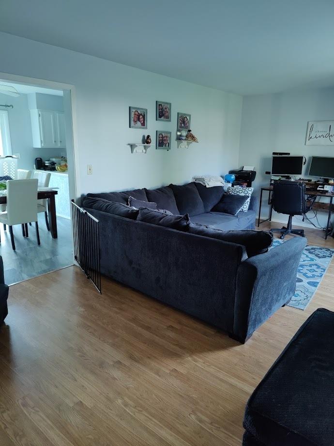 1003 Fourth Street Rising Sun, IN 47040 - Photo 3 of 15