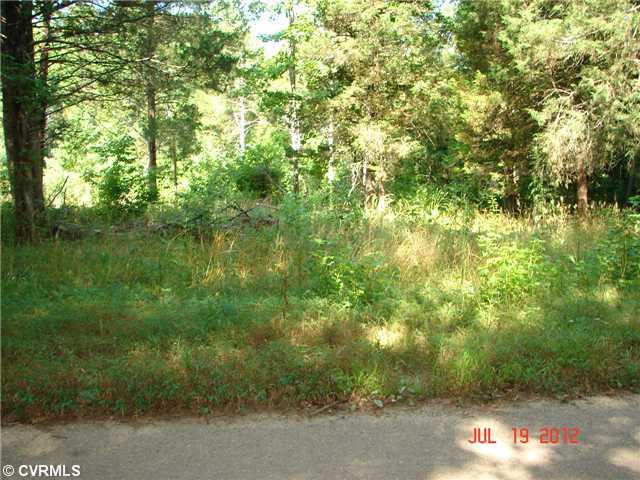 0 High Bridge Road Rice, VA 23966 - Photo 1 of 2 Land