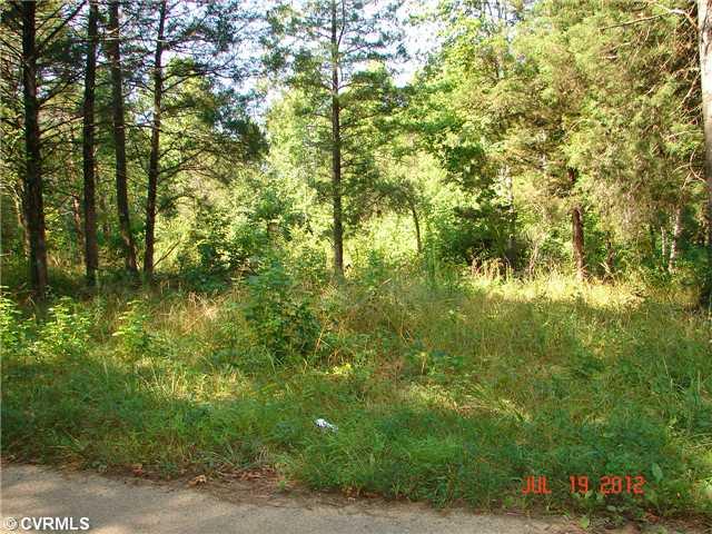 0 High Bridge Road Rice, VA 23966 - Photo 2 of 2 Gallery Image 2