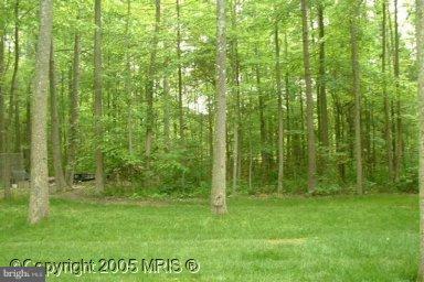 411 Pine Tree Road Chestertown, MD 21620 - Photo 1 of 1 Exterior (Main)