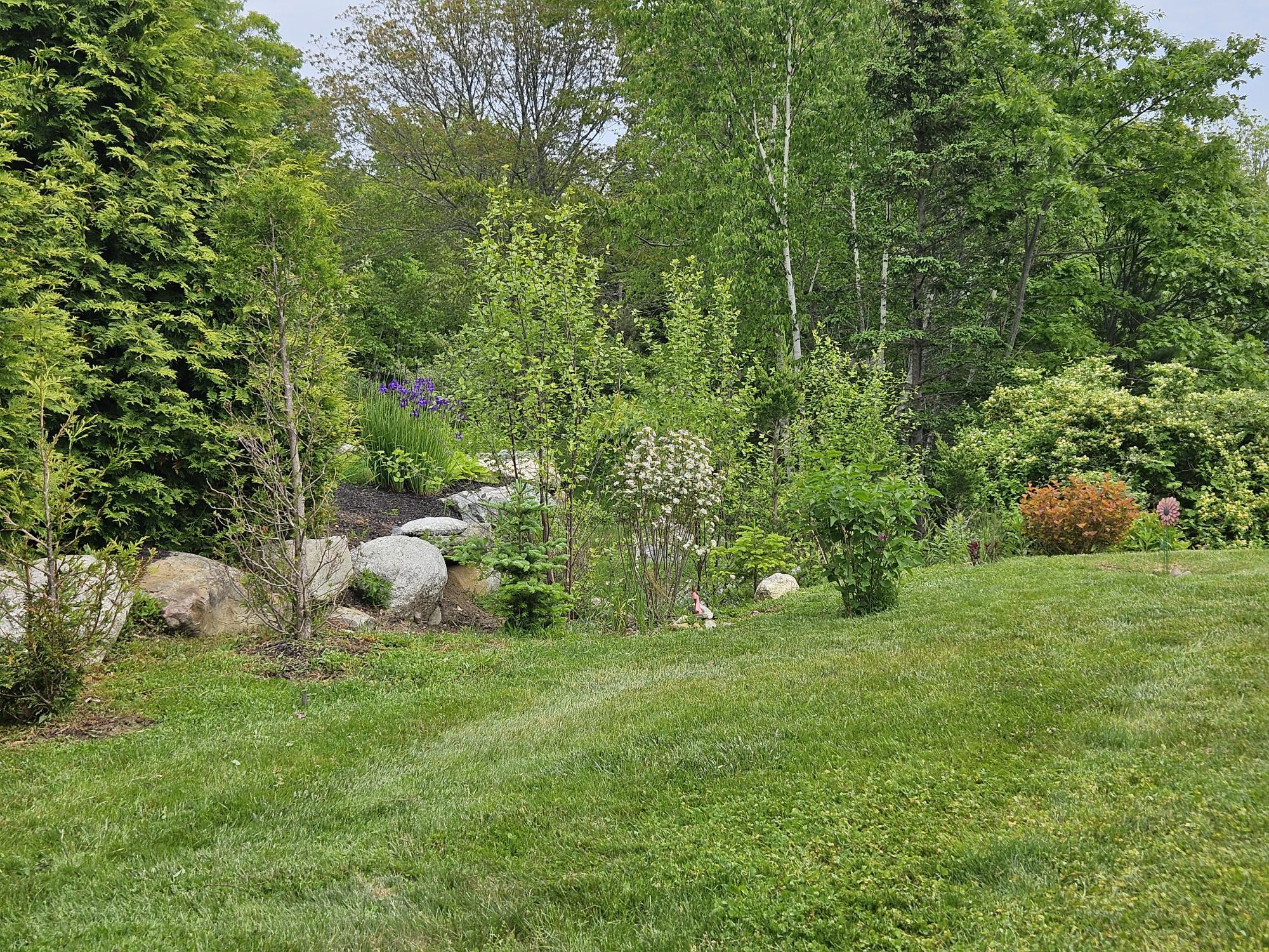 42 Old Mill Road New Harbor, ME 04554 - Photo 41 of 65 Summer View 2