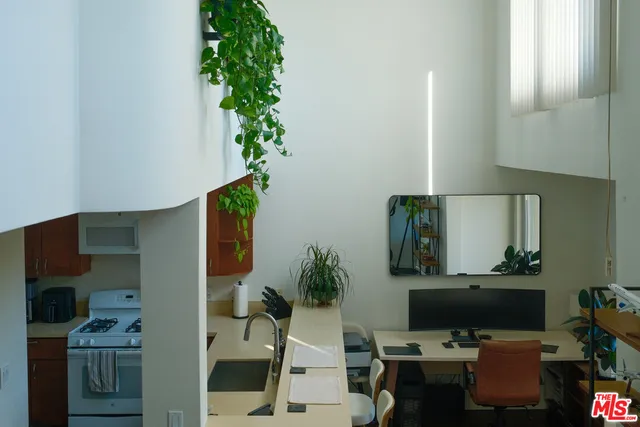 a room with furniture and a potted plant