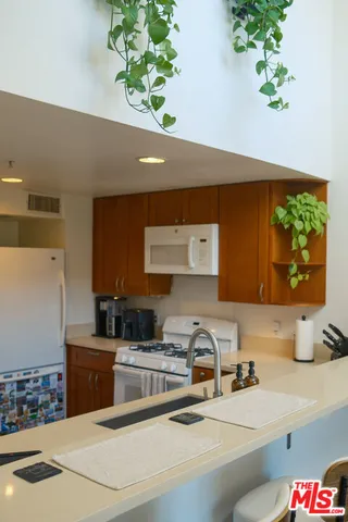 a kitchen with a sink a stove and a potted plant