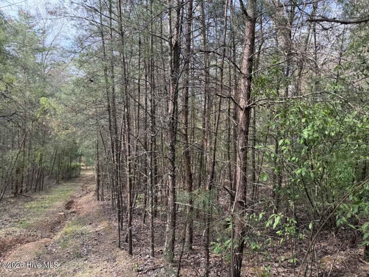 0 Ogreeta Road Murphy, NC 28906 - Photo 32 of 47