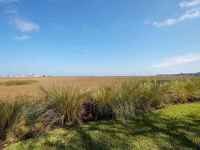 10 Old Summer House Road Charleston, SC 29412 - Photo 62 of 81 79