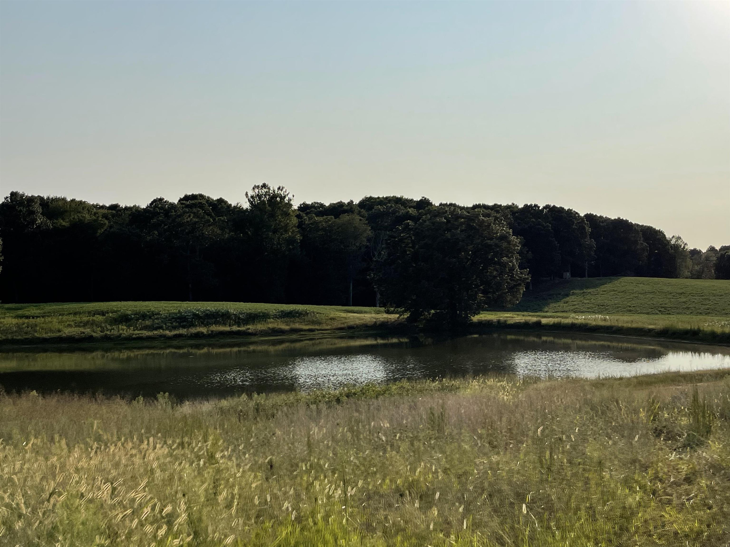 0 Hebron Road Bruceton, TN 38317 - Photo 2 of 11 Photo 2