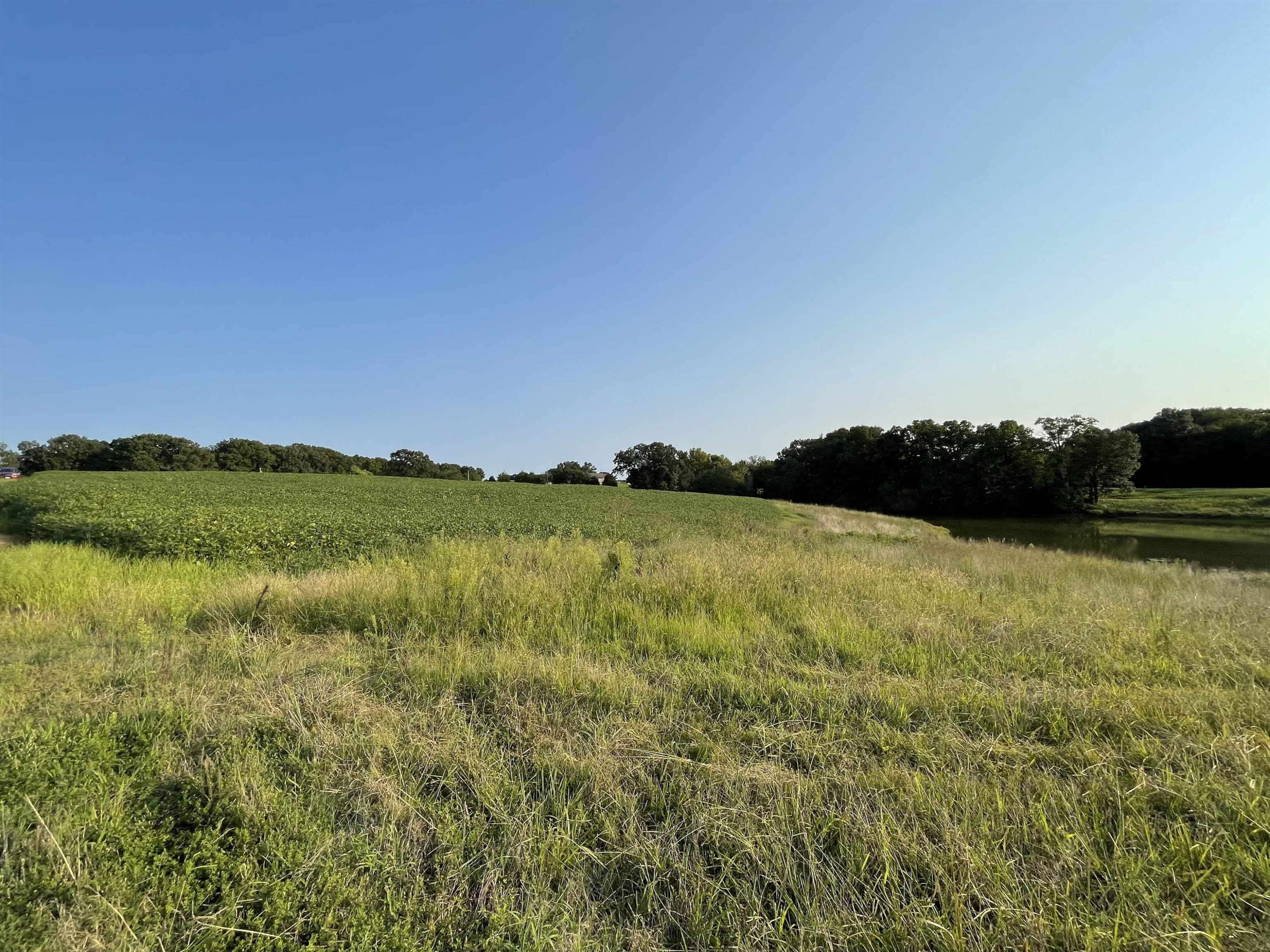 0 Hebron Road Bruceton, TN 38317 - Photo 7 of 11 Photo 8