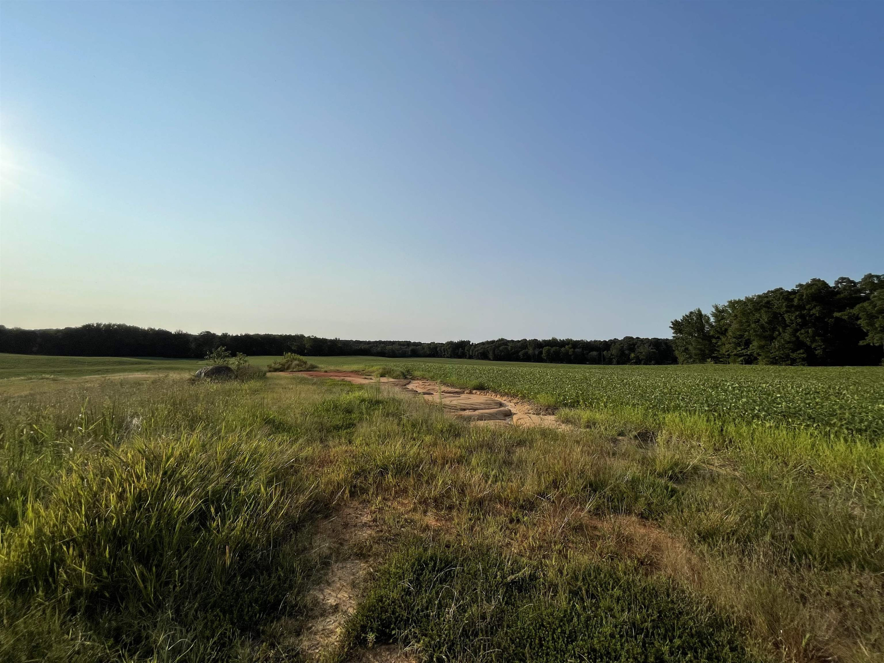 0 Hebron Road Bruceton, TN 38317 - Photo 8 of 11 Photo 9