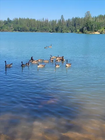 $340,000 | 14319 Oregon Peak Road, Dobbins, CA 95935