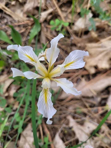 $345,000 | 14319 Oregon Peak Road, Dobbins, CA 95935