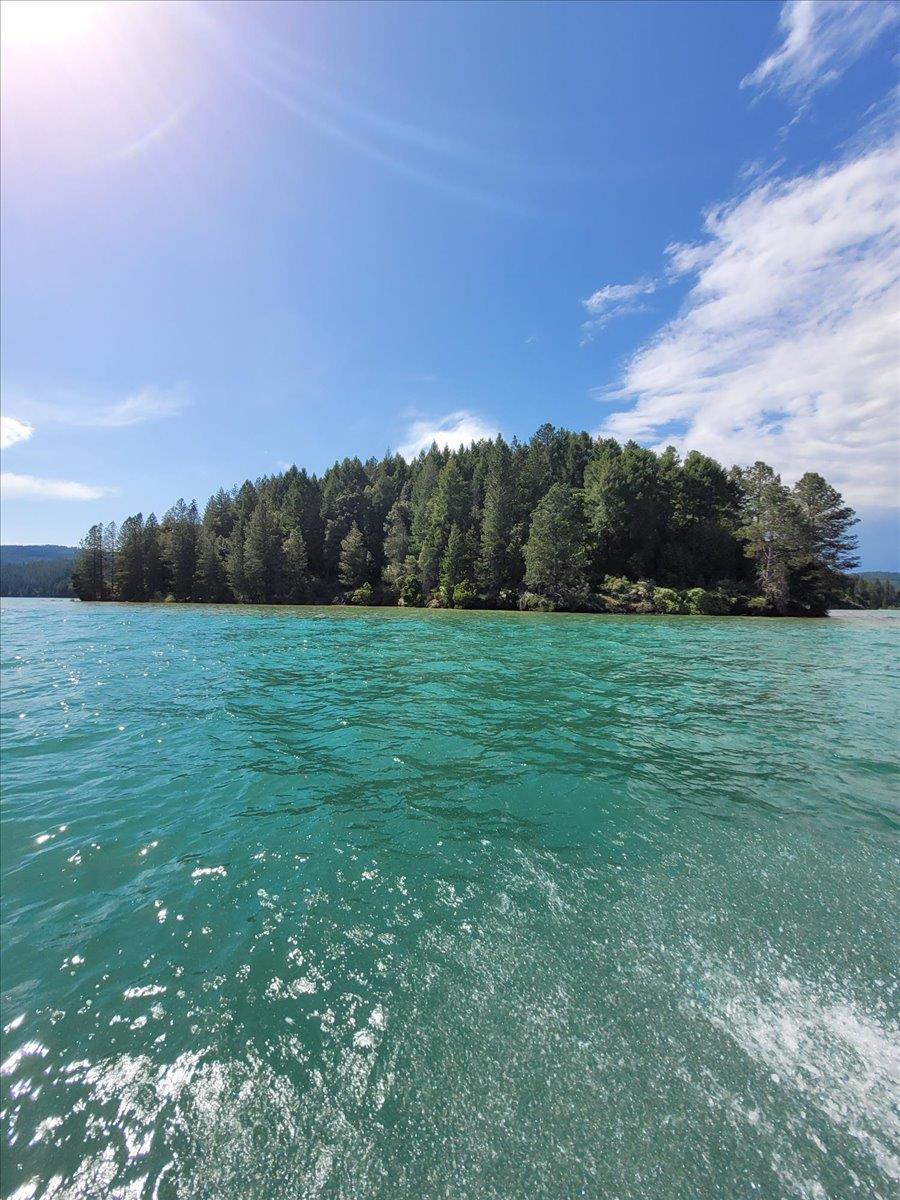 14319 Oregon Peak Road Dobbins, CA 95935 - Photo 37 of 45