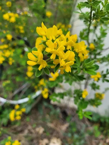 $345,000 | 14319 Oregon Peak Road, Dobbins, CA 95935