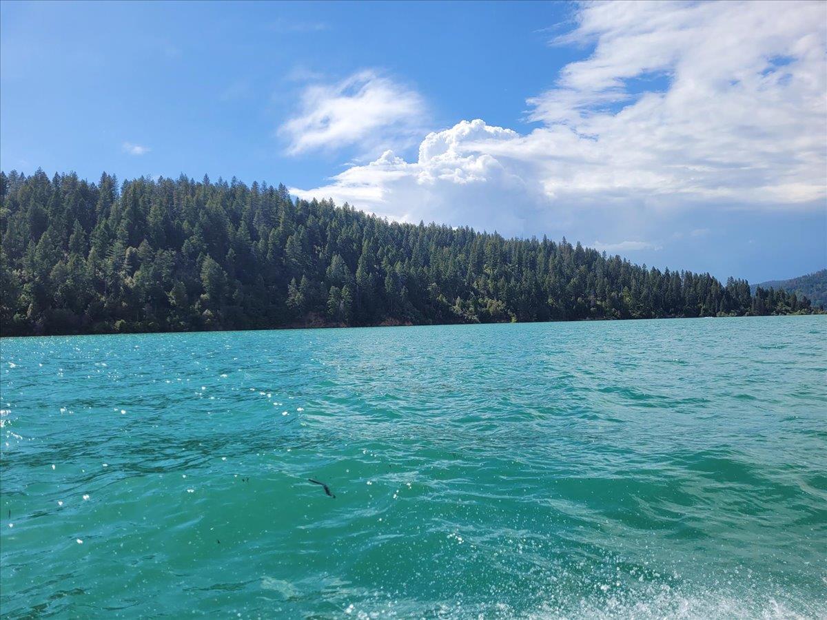 14319 Oregon Peak Road Dobbins, CA 95935 - Photo 42 of 45