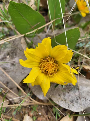 $345,000 | 14319 Oregon Peak Road, Dobbins, CA 95935