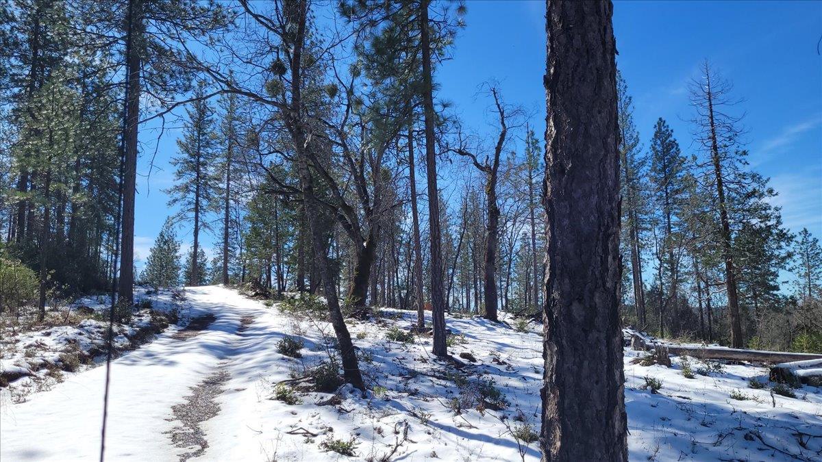 14319 Oregon Peak Road Dobbins, CA 95935 - Photo 45 of 45